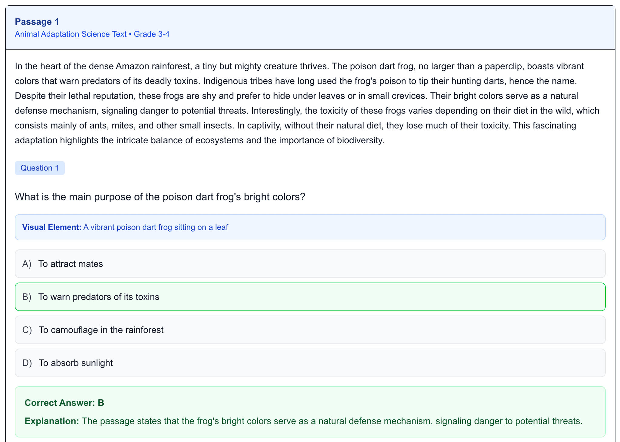 SmartSSAT Reading Practice Interface